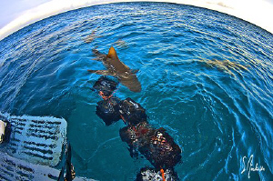 One of the best topside activities.....coffee,bait and Le... by Steven Anderson 